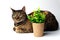 Tabby cat and artificial plant in paper pot. Portrait of a cute gray 10 month old kitten. Small gray kitten looks attentively and