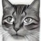 Tabby cat, detailed drawing of the head in the style of a pencil sketch in a monochrome design ai Generated, generative AI, CGI