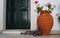 tabby cat on the doorway, Corfu, Greek islands, Greece
