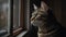 A tabby cat gazing out a window created with Generative AI