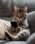 Tabby cat looking at smartphone and holding it with paws