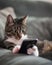 Tabby cat looking at smartphone and holding it with paws