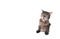 Tabby cat meowing leaning on white banner with copy space