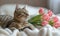 Tabby Cat with Pink Tulips on Cozy Blanket,creating a serene atmosphere,background, Generated AI