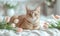 Tabby Cat with Pink Tulips on Cozy Blanket,creating a serene atmosphere,background, Generated AI