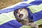 Tabby Cat Playing in Generic Cat Tunnel