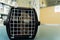 Tabby cat sitting in a cage on the floor of a veterinary clinic waiting on his appointment with the veterinarian looking anxious