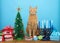 Tabby cat sitting between Christmas and Hanukkah decorations