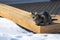 Tabby cat sitting on a deck bench surrounded with snow