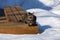 Tabby cat sitting on a deck bench surrounded with snow