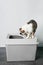 Tabby cat sitting on a gray top entry litter box