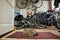 A Tabby cat sleeping on a red doormat in the doorway of the garage with bikes and stuff in the background