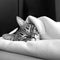 Tabby Cat Sleeping Under White Blanket