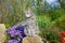 Tabby gray cat sitting on a stone near spring flowers in the garden. Pets walking outdoor adventure. Cat close up