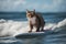 Tabby on holiday rides a surfboard, realistic style. Vacation, sport, surfing, summer time concept