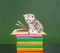 Tabby kitten on the books near empty green chalkboard. Sample for text