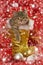 Tabby kitten sits in a golden santa boot