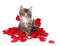 Tabby kitten surrounded by roses.