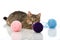 Tabby kitten with wool balls