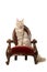 Tabby Turkish angora cat sitting on an antique chair looking at the camera