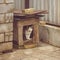 Tabby white big cat stands in a doghouse. Around a wet building, a fence and a tile floor