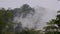 Tabin Wildlife Reserve, rainforest, cloudy sky, after rain Malaysia