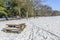 Table and a bench covered with snow, traces in the snow, geese, green trees and a blue sky