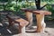 Table and bench made of wooden logs and boards in the Park on the lake.