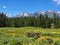 Table and Benches in a Flowery Meadow, Grand Teton National Park, with Snowy Mountains in the Back on a Summer Day