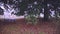 Table with benches in the park under a tree