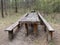 A table with benches in the spring forest, among the trees. Picnic place among nature in the park. Stopping point for travelers