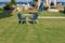 Table and blue four chair in the garden with green lawn grass