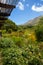 The Table, Cape Town, view from Kirstenbosch Gardens