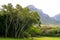The Table, Cape Town, view from Kirstenbosch Gardens