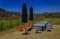 Table with chairs by the grape vines with yellow mustard flowers at a vineyard in Napa Valley, California, USA