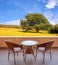 Table and chairs on a terrace, view on a field with flowers and tree