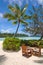 Table and chairs under a palm tree on a tropical beach, Ile des Pins