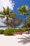 Table and chairs under a palm tree on a tropical beach, Ile des Pins