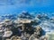 Table corals panorama. Exotic island shore shallow water. Tropical seashore landscape underwater photo.