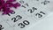 On the table is the December calendar of the New Year hand draws a pencil on the date of December 31, close-up, the new