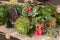 Table decor background of purple eggplant, red radish bushels, a