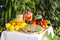 Table decorated with pizza, fruit and wine traditional Italian