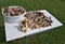 Table full of mushrooms in our forests.