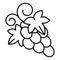 Table grape icon, outline style