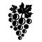 Table grape icon, simple style