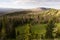 Table Mountain Wyoming Backcountry Forest