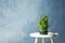 Table with potted bamboo plant near color wall