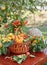Table setting with beautiful autumn decorand with basket mini pumpkins