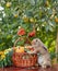 Table setting with beautiful autumn decorand with basket mini pumpkins and orange rabbit