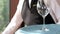 Table setting in an elite restaurant close-up. Men\'s hands arrange beautiful clean and empty glass glasses and plates